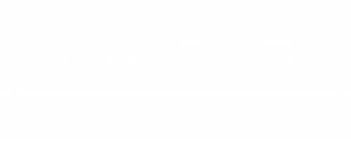 white-Logo-YildizAccountants-trans.png